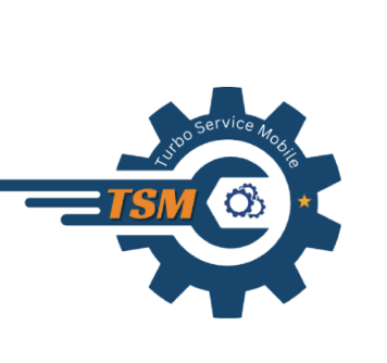 TSM-Pro 12 Months